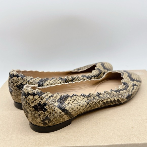 Chloe Lauren Scalloped Ballet Shoes Flats Dark Greige Snakeskin Leather US 35.5
